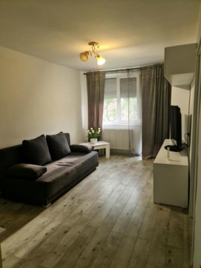 Apartament central